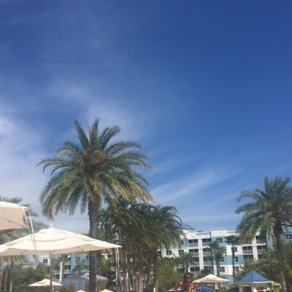 Meet your Posher, Meg